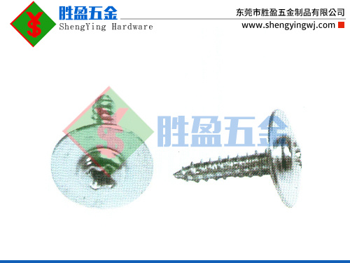 PWA介子头尖尾螺丝