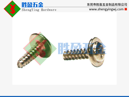 PWB介子头平尾螺丝