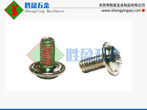 PWM介子头机牙平尾螺丝