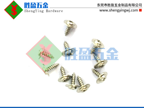 东莞不锈钢螺丝批发